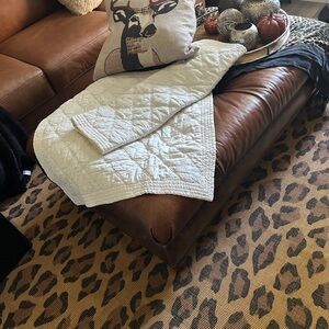 Ralph Lauren Euro Shams one Pair